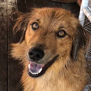 Meet your Posher, Annalia